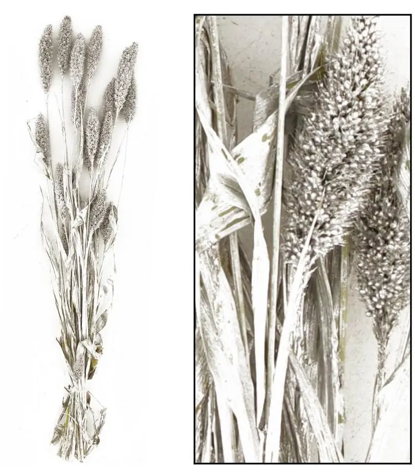 KV.UM.-SUSINA PARTA 66cm