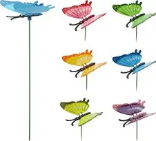 ZAPICH MOTYL PLASTIC