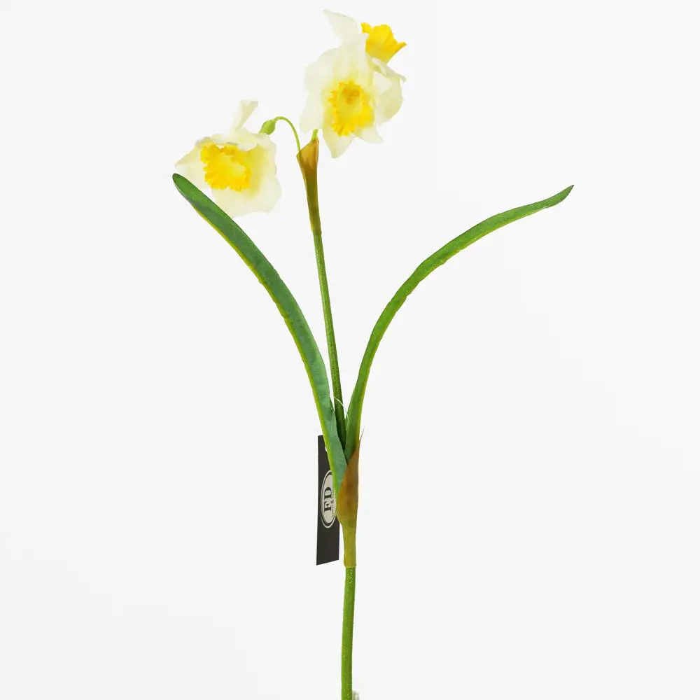 xKV.UM.-NARCIS ZLTY 35cm -9200195