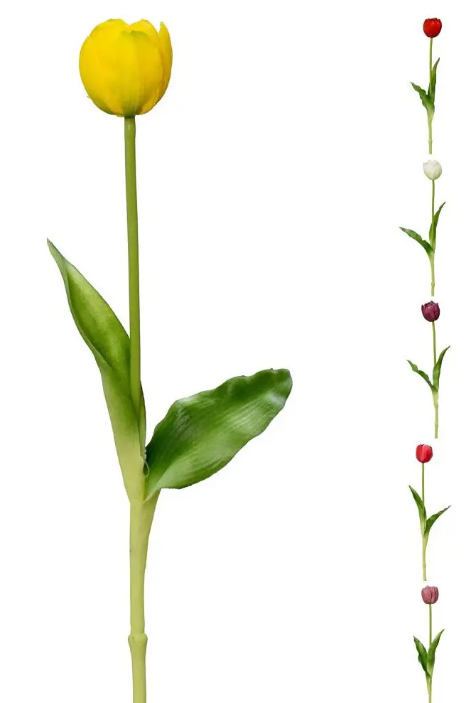 xKV.UM.-TULIPAN 40cm