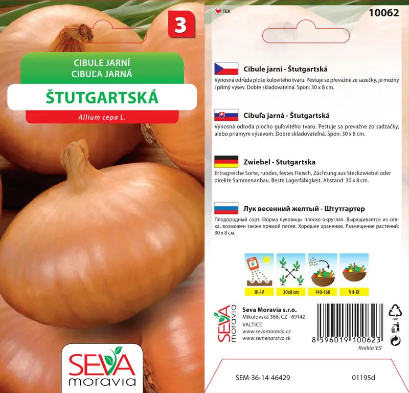 .CIBULA JARNA ZLTA -STUTGART.1,5g*M