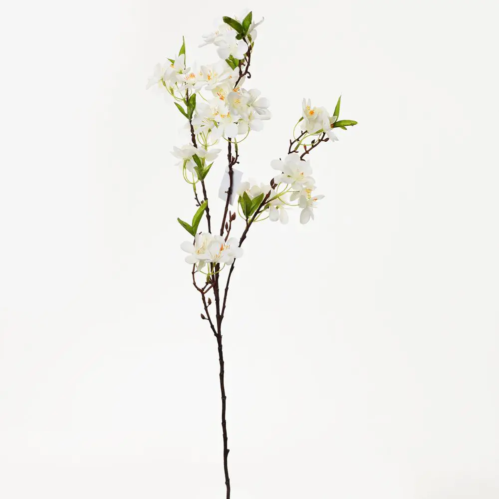xKV.UM.-MAGNOLIA 66cm -KREMOVA