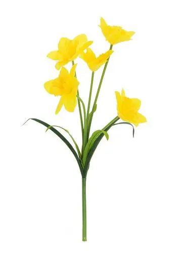 xKV.UM.-KYTICA NARCIS 54cm