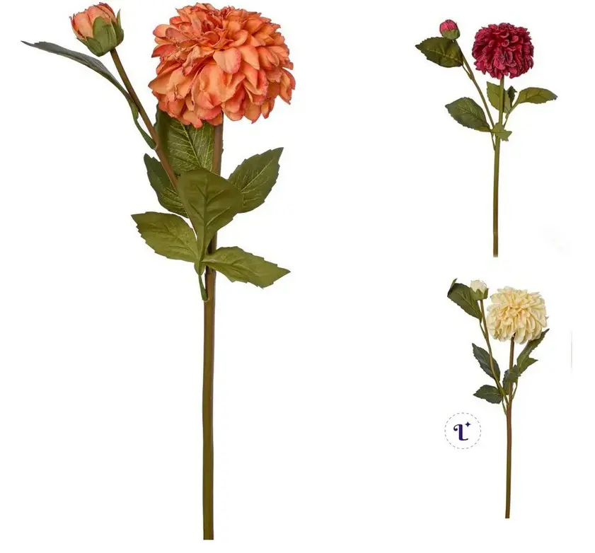 KV.UM.-DAHLIA 46cm 3F