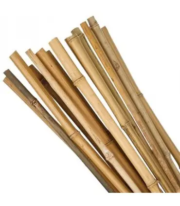 TYC BAMBUS 150cm /14-16/
