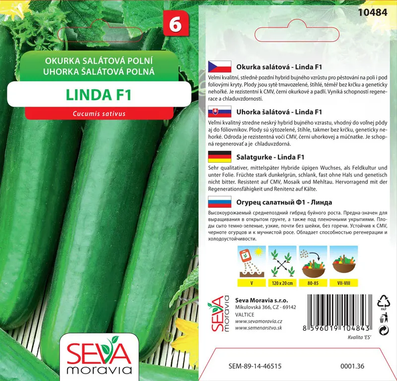 .UHORKY SALAT. -LINDA F1  1g* M