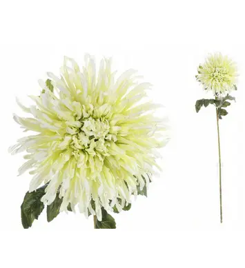 KV.UM.-CHRYZANTEMA 74cm 240099