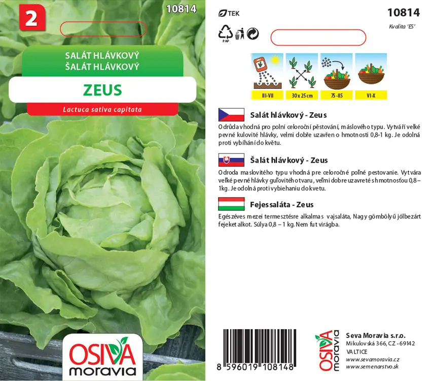 .SALAT HLAVKOVY -ZEUS 0,3g