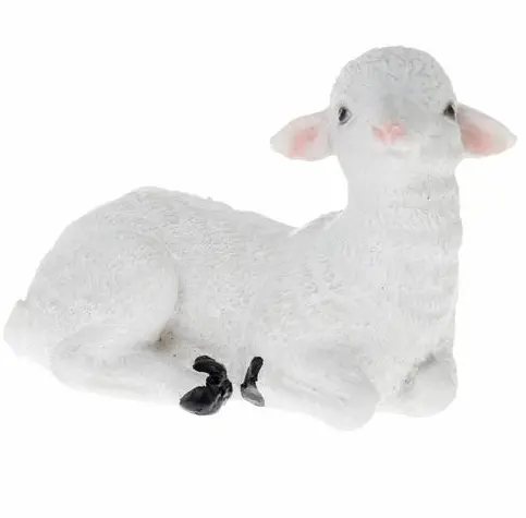 /VN-OVCA BIELA 10cm