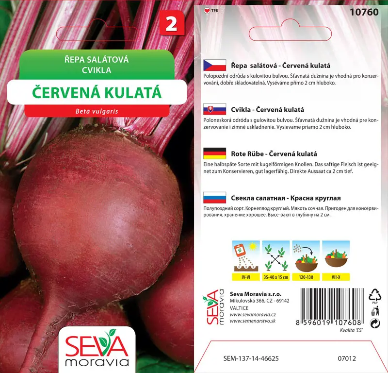 .CVIKLA SALATOVA -CERV.GULATA 4g* M