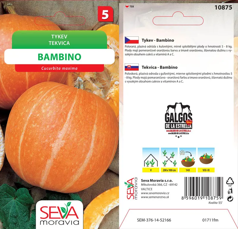 .TEKVICA PLAZIVA -BAMBINO 10s