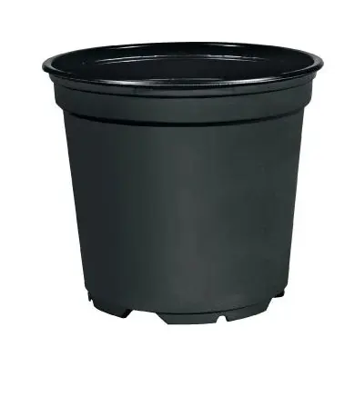 ,ZAKORENOVAC 23cm -CIERNY