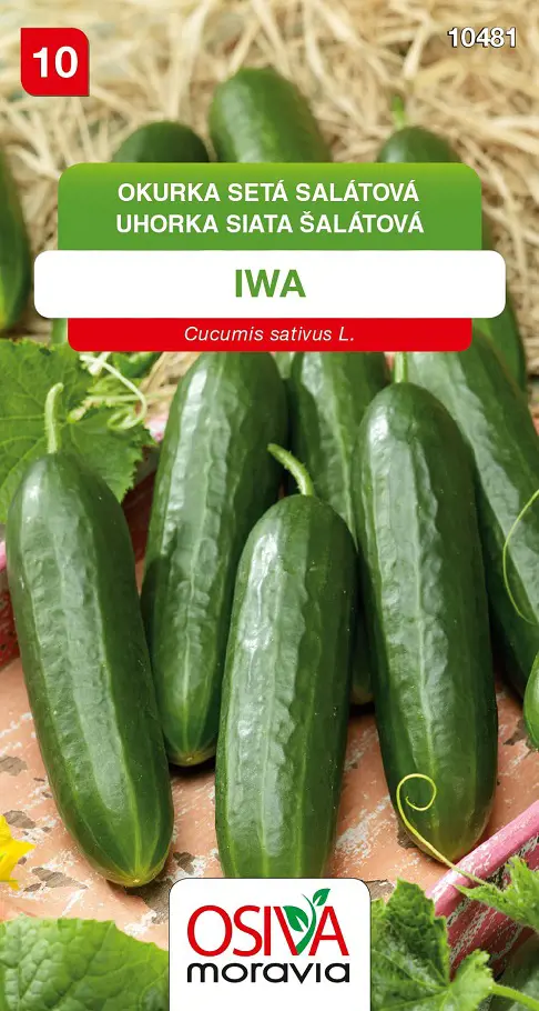 .UHORKA SIATA SALAT. -IWA 10ks