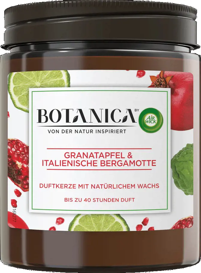 SVIECKA AIR WICK BOTANICA 205g -GRAN