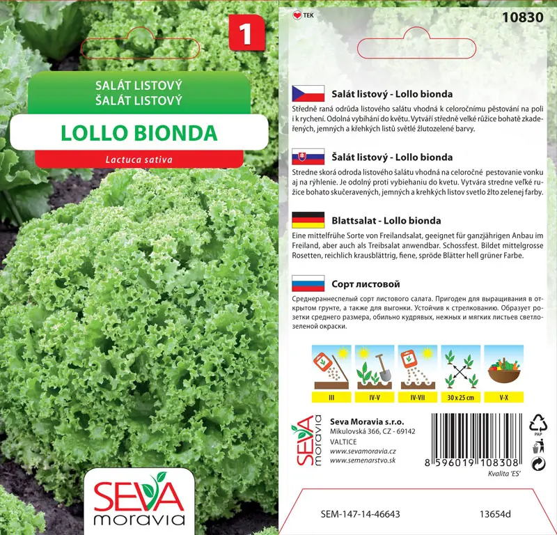 .SALAT LISTOVY -LOLLO BIONDA 0,5g* M