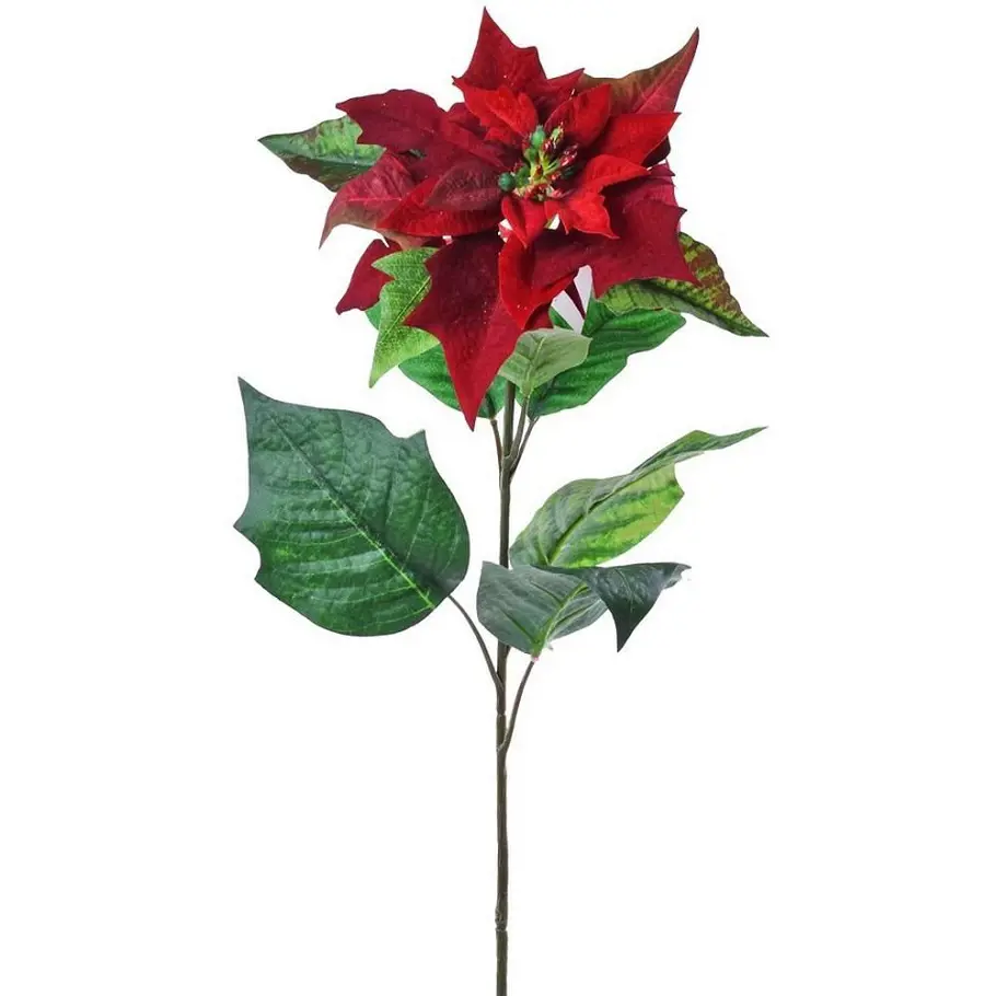 KV.UM.-VO POISENTIA 72cm -CERVENA