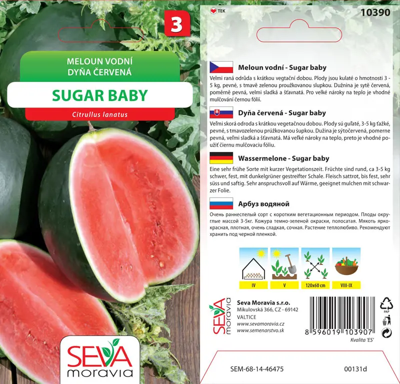 .MELON VODOVY -SUGAR BABY  0,5g* M