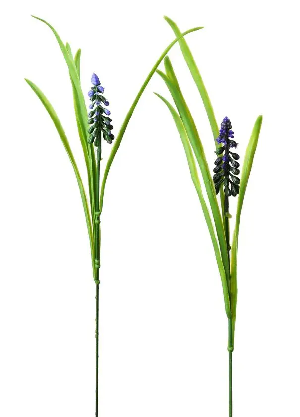 KV.UM.-MUSCARI 55cm