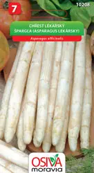 .SPARGLA -ASPARAGUS LEKARSKY 2,5g