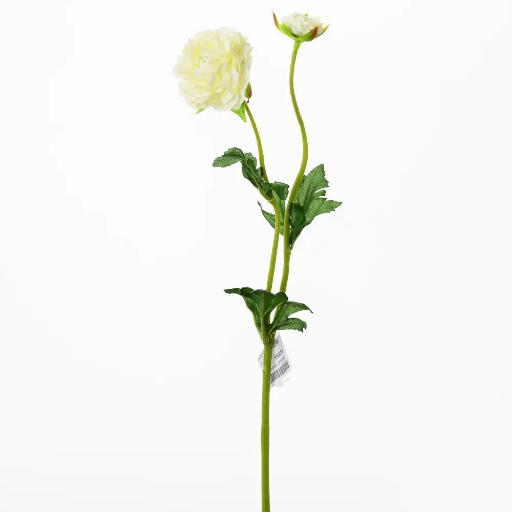 xKV.UM.-RANUNCULUS 39cm -BIELY