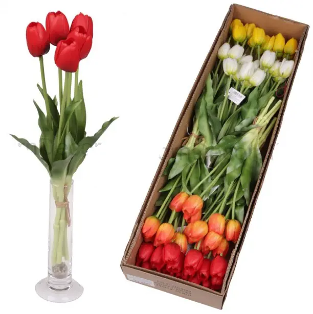 xKV.UM.-KYTICA TULIPAN GUMA x5 151667