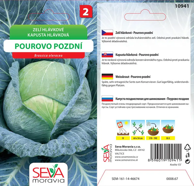 .KAPUSTA NESKORA -POUROVO  0,8g* M