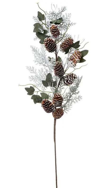 KV.UM.-VO KONAR TUJA,HEDERA, SISKY 66cm