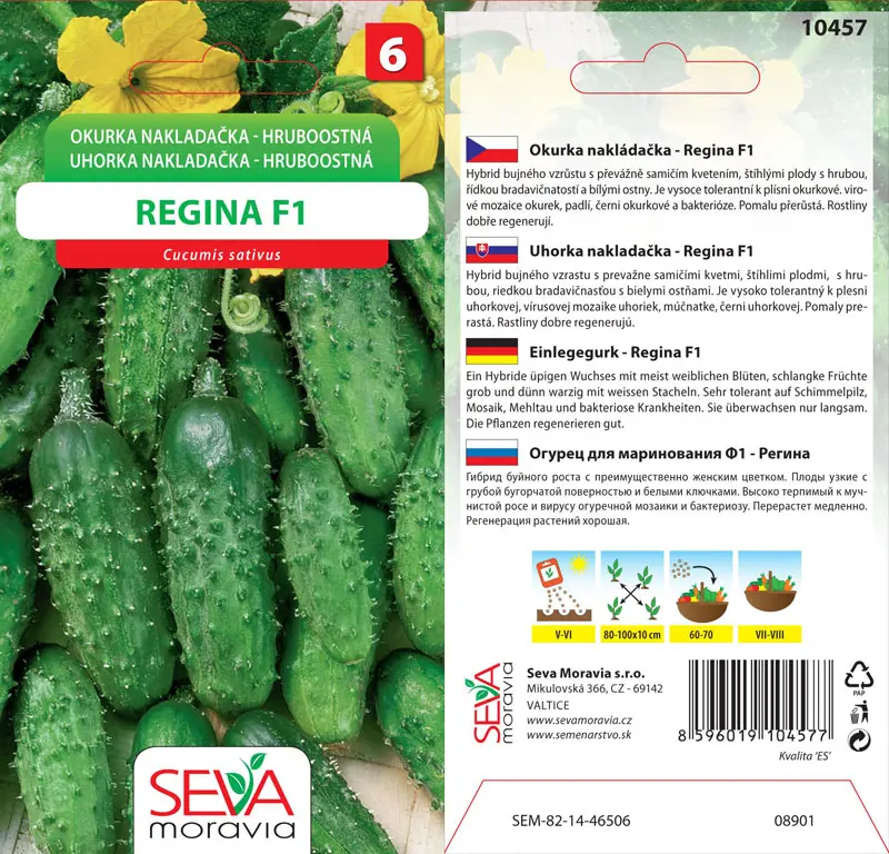 .UHORKY NAKL. -HR-OST.-REGINA F1 1g