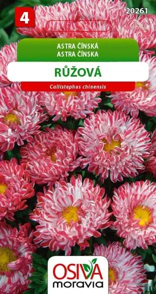 .K-ASTRA CINSKA -MONTEZUMA RUZ.0,5g