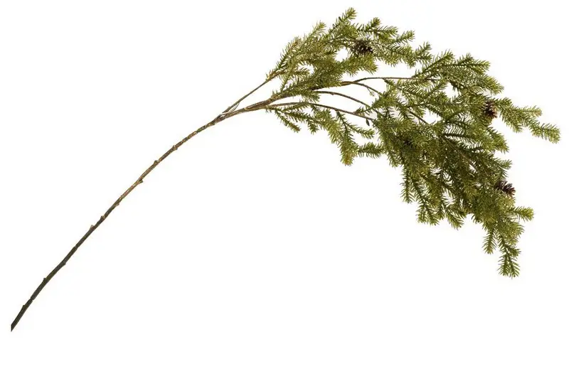 KV.UM.-VO KONAR CECINA ZELENA 95cm