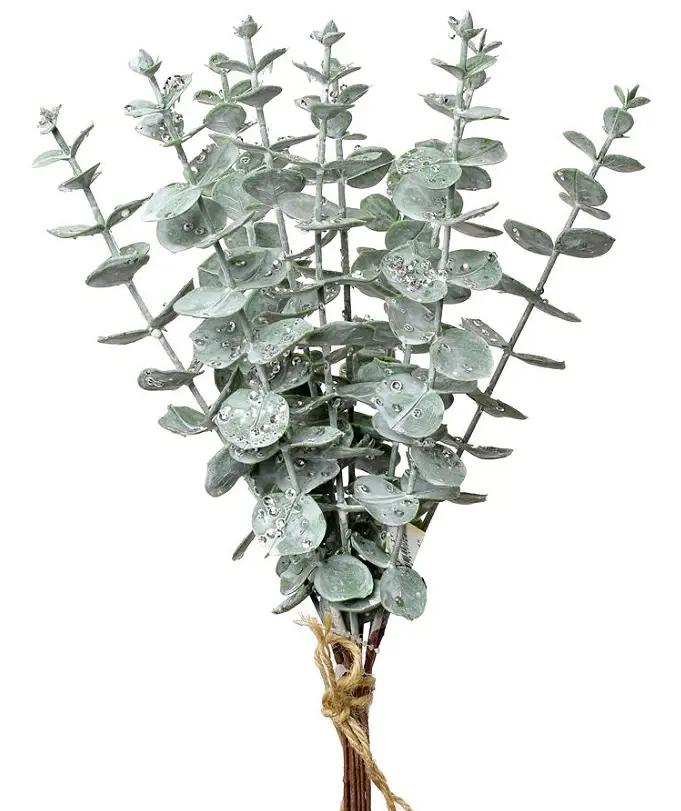 KV.UM.-VO ZAPICH.EUKALYPTUS 33cm