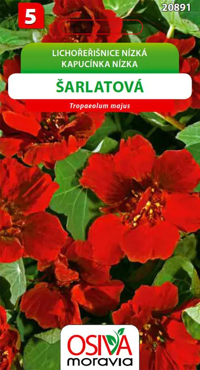 .K-KAPUCINKA SARLATOVA 10 ks