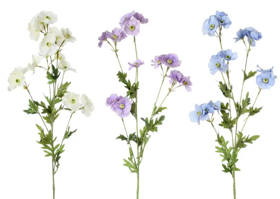 KV.UM.-DELPHINIUM GRANDIFLORA 82cm