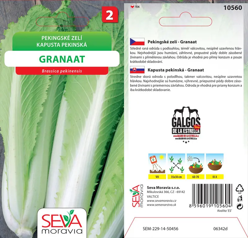 .KAPUSTA PEKINGSKA -GRANAT 0,6g