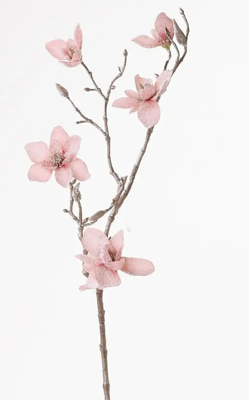 KV.UM.-VO MAGNOLIA 65cm -RUZOV