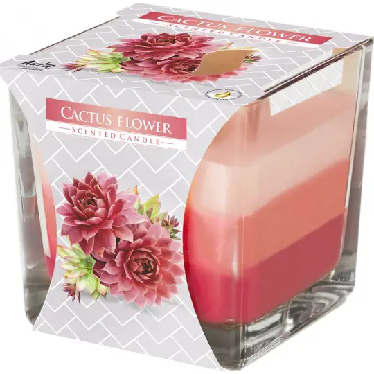 SVIECKA SCENTED CANDLE 32h. -KAKTUS
