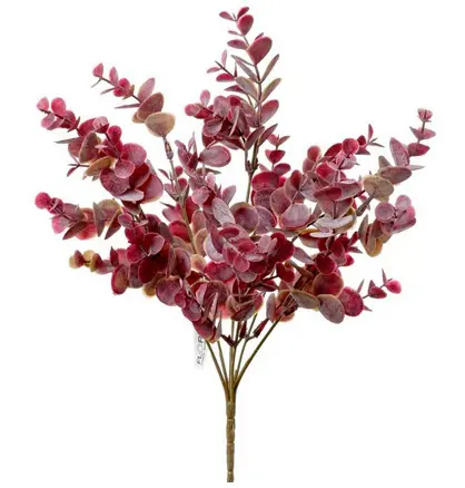 KV.UM.-ZAPICH EUKALYPTUS FIALOVY 35cm