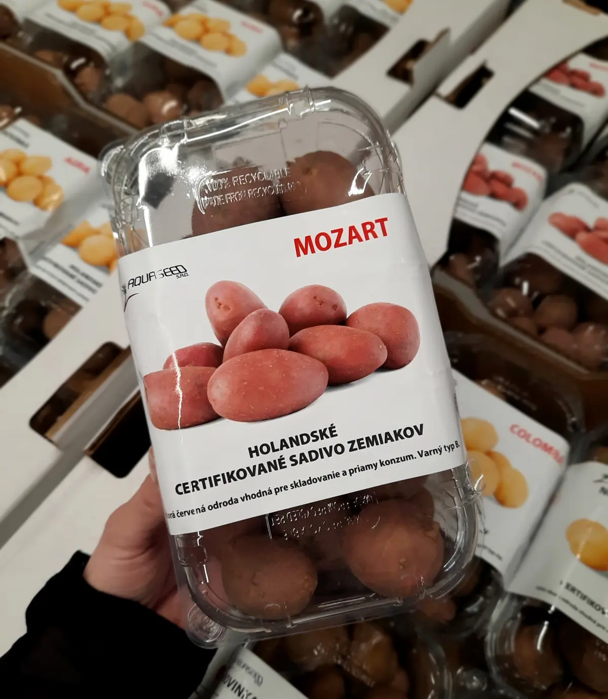 .ZEMIAKY MOZART NESKORE CERVENE 1kg