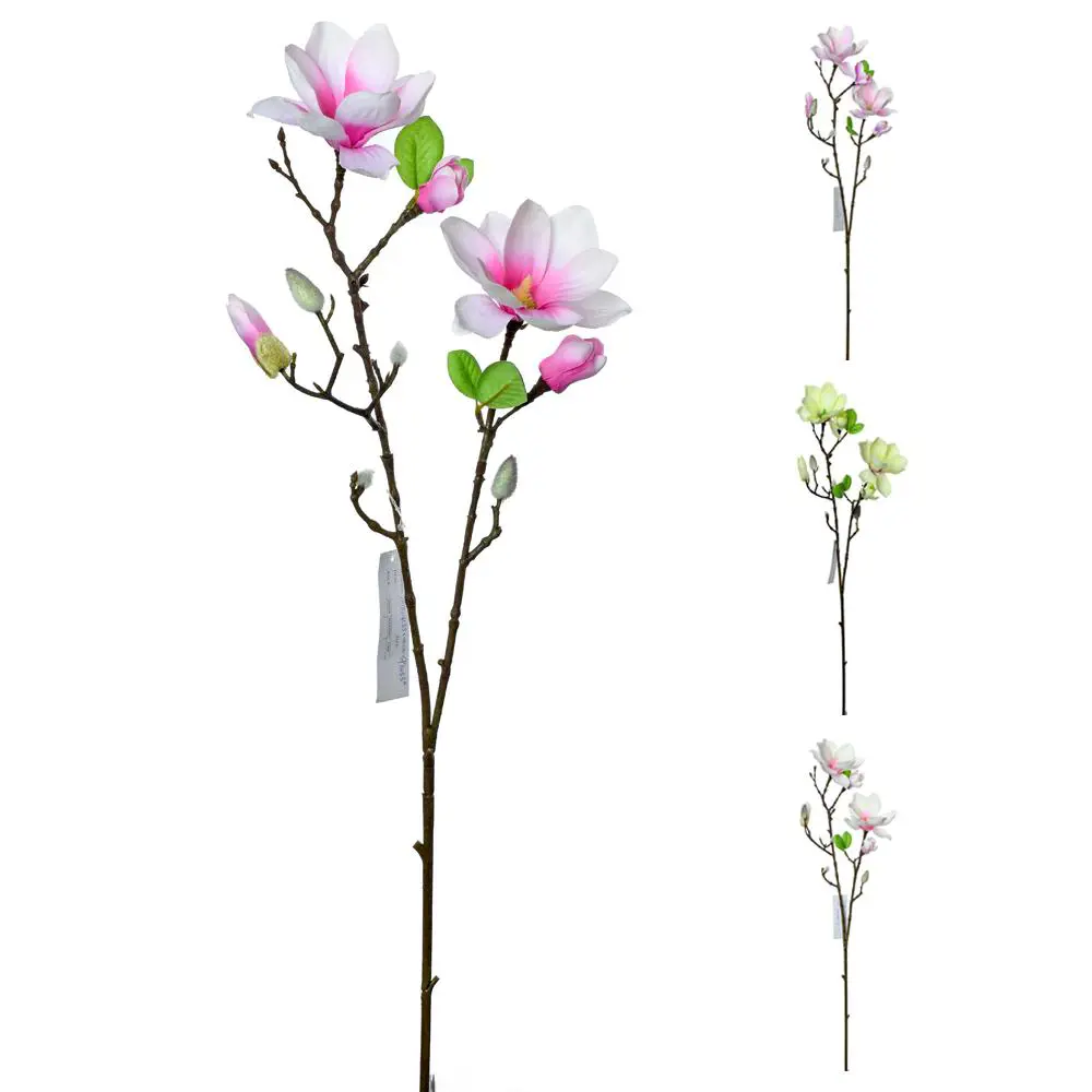 KV.UM.-KONAR MAGNOLIA 76cm