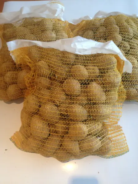 .ZEMIAKY AGRIA STREDNE SKORE 5kg
