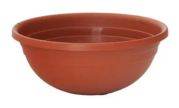 ,KVETINAC CLIVIA 50x16cm
