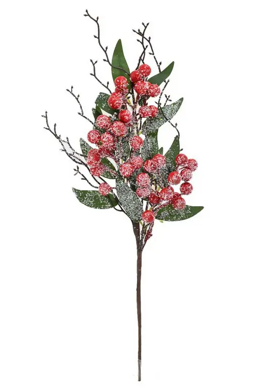 KV.UM.-VO ZAPICH SIPKY CERVENE 40cm