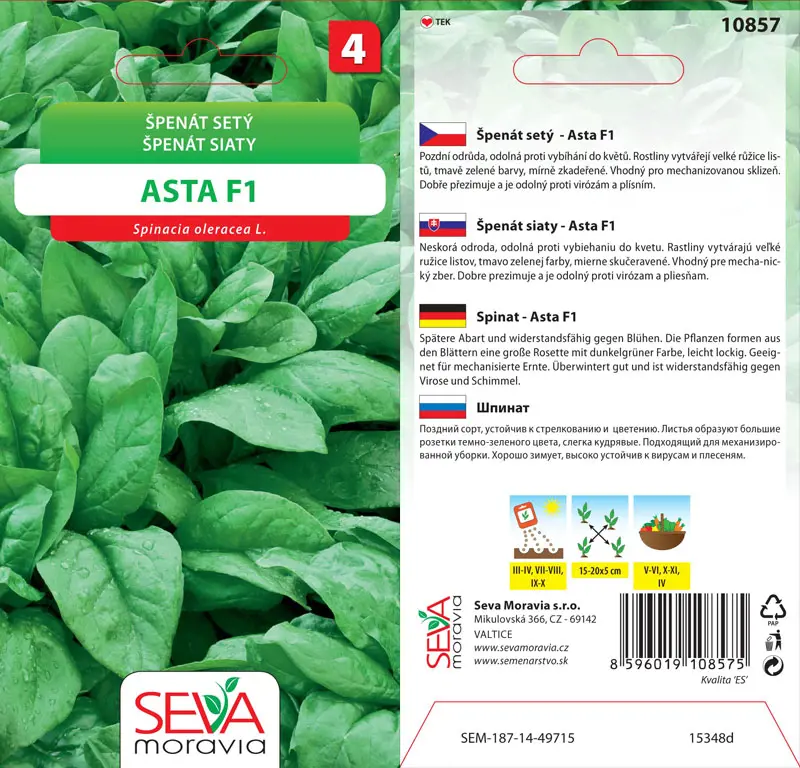 .SPENAT SIATY -ASTA F1 5g
