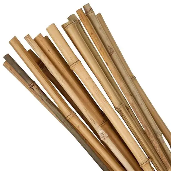 TYC BAMBUS 150cm /16-18/