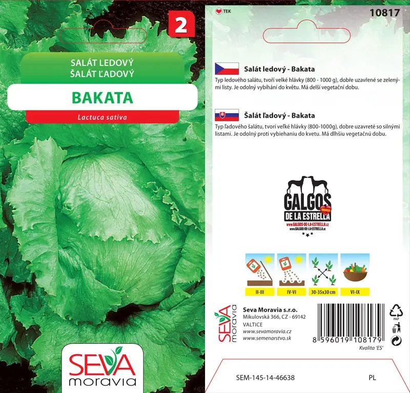.SALAT LADOVY -BAKATA 0,5g