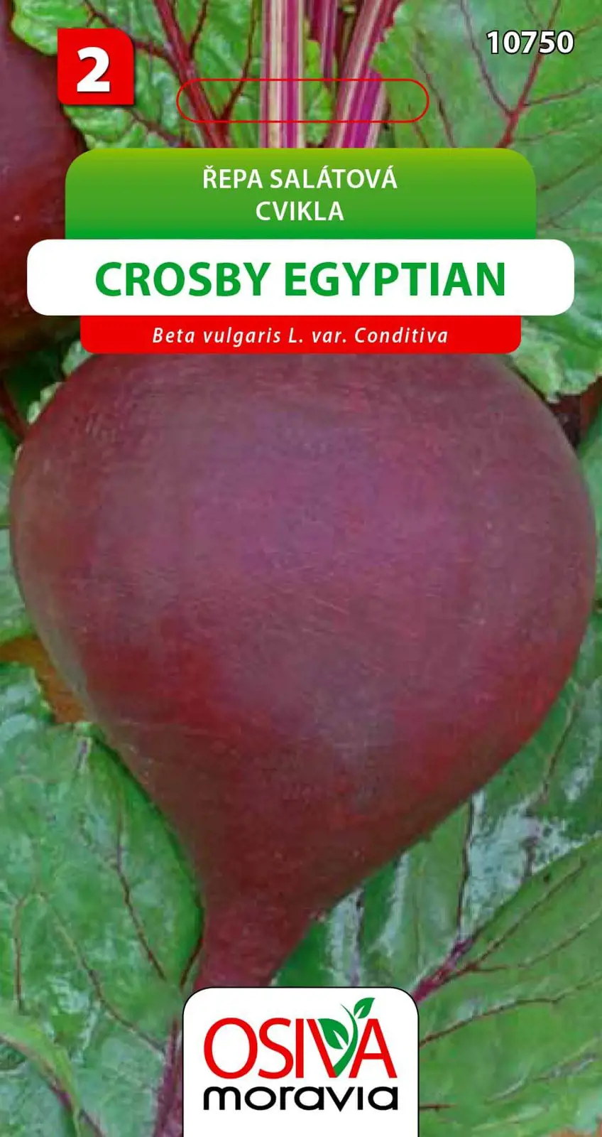 .CVIKLA SALATOVA -CROSBY EGYP. 0,4g