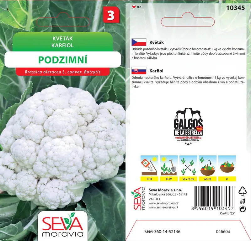 .KARFIOL -PODZIMNY 0,4g