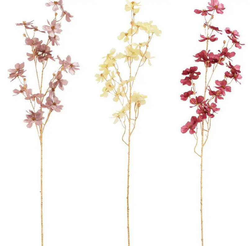KV.UM.-VO COSMOS 95cm