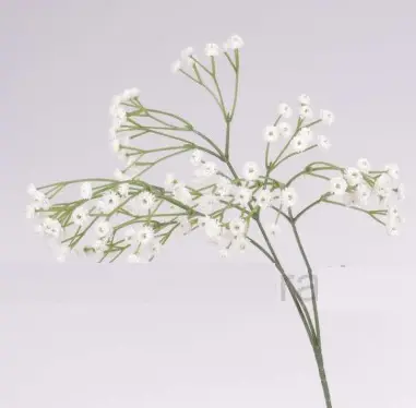 KV.UM.-GYPSOMILKA 170051 66cm