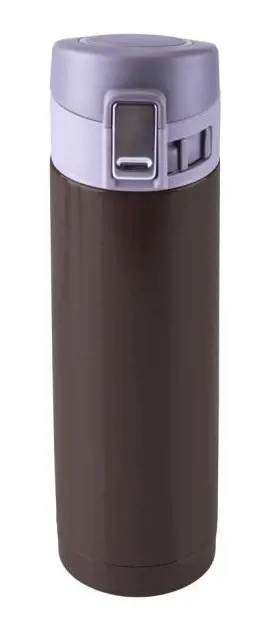 FLASA TERMO 450ml